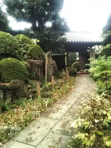 乗蓮寺の山門