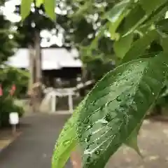 高司神社〜むすびの神の鎮まる社〜(福島県)