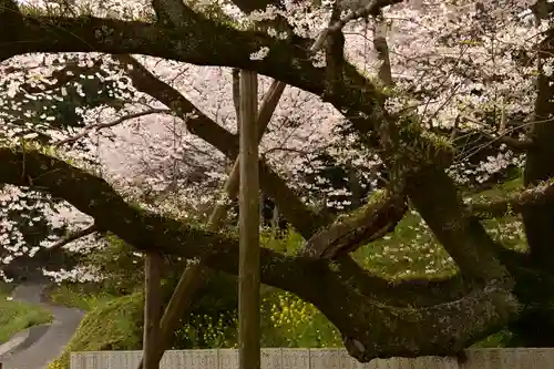 掌禅寺(愛媛県)