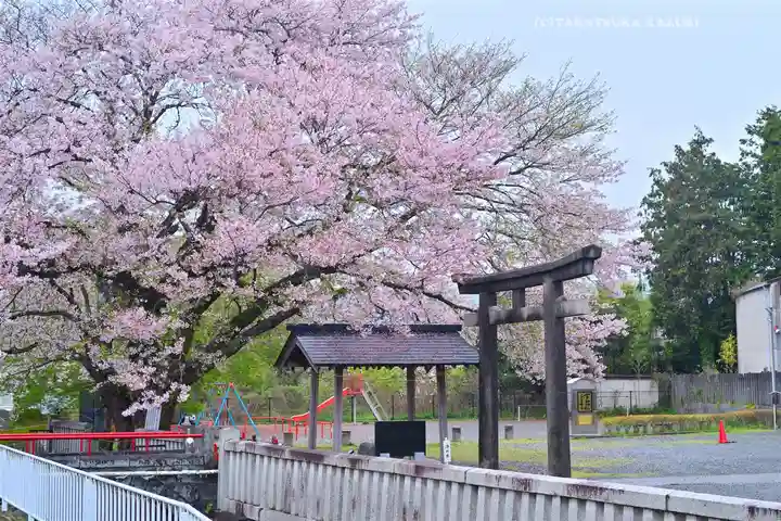 冨知神社(静岡県)