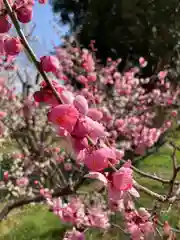 曽根天満宮の庭園