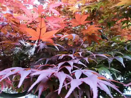 立志神社の自然