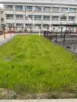 杭全神社(大阪府)