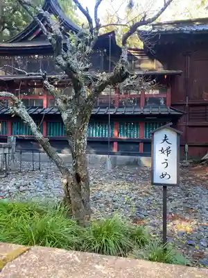 北口本宮冨士浅間神社(山梨県)