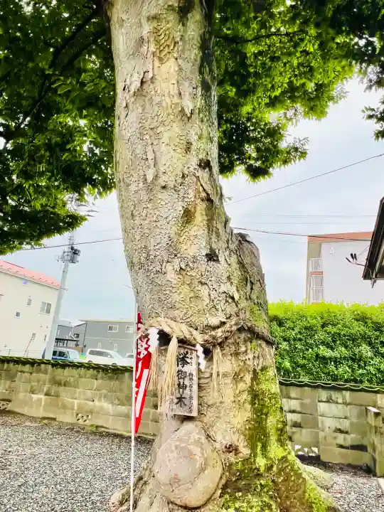 須賀神社(宮城県)