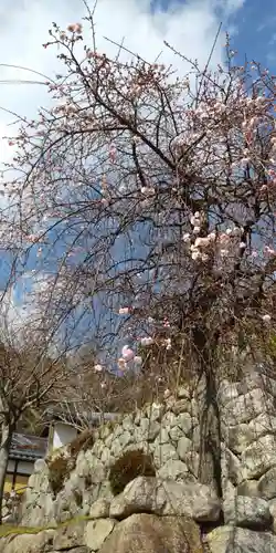 最乗院(滋賀県)