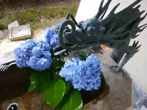 高月院の手水舎