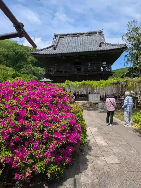 長泉寺(埼玉県)