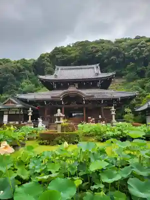 三室戸寺(京都府)