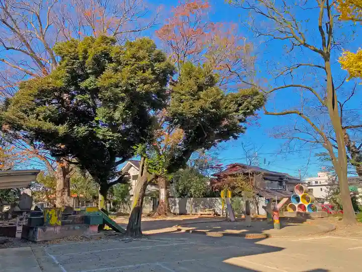 高城神社の自然