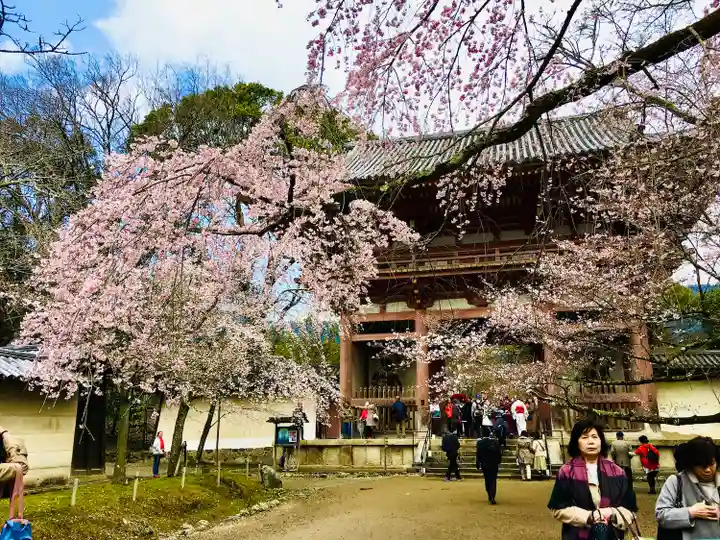 醍醐寺の山門・神門