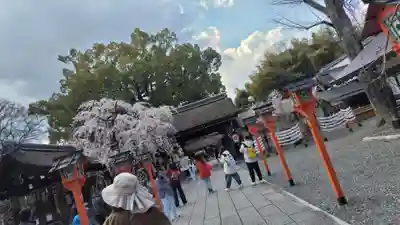 平野神社(京都府)