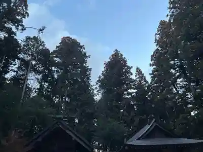 大宮温泉神社(栃木県)