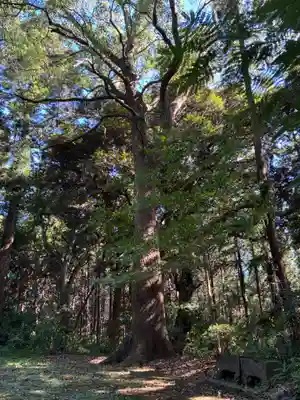 大宮神社(千葉県)