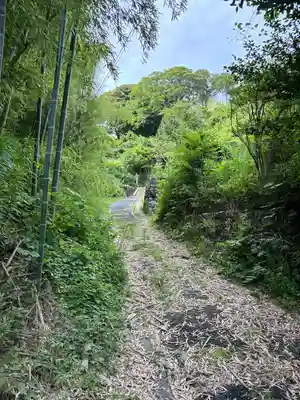 佐波波地祇神社(茨城県)