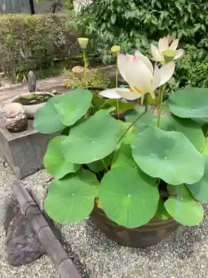 総持院(神奈川県)