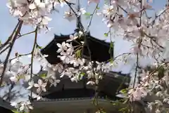 金峯山寺の自然