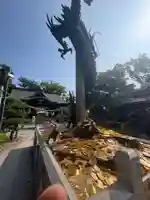 宇都伎社(香川県)
