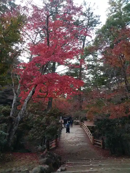 四宮神社の自然