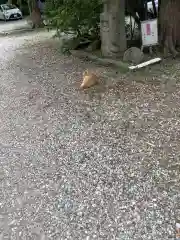 長楽寺の動物