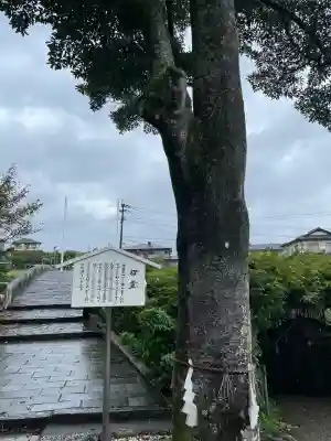 西寒多神社(大分県)