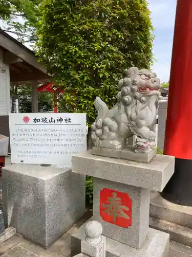 加波山神社真壁拝殿の狛犬