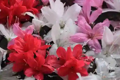 田村神社の手水舎