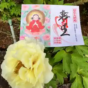 真言宗 善通寺派 薬王寺(香川県)(2024年04月28日(日) 13時16分29秒投稿)