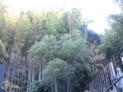 吉祥寺(神奈川県)