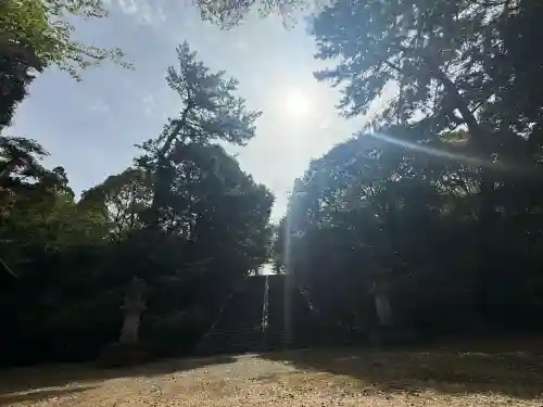 奈良縣護國神社の{uncategorized: "未分類", other: "その他", undefined: "問題あり", building: "その他建物", grave: "お墓", sacred_gate: "鳥居", guardian: "狛犬", statue: "像", buddha: "仏像", history: "歴史", nature: "自然", garden: "庭園", animal: "動物", pagoda: "塔", temizu: "手水舎", mountain_gate: "山門・神門", sanctuary: "本殿・本堂", subordinate: "末社・摂社", art: "芸術", scenery: "景色", jizo: "地蔵", ema: "絵馬", goshuin: "御朱印", omikuji: "おみくじ", items: "授与品その他", amulet: "お守り", goshuincho: "御朱印帳", eats: "食事", festival: "お祭り", votive_dance: "神楽", shichigosan: "七五三参", wedding: "結婚式", experience: "体験その他", initially: "初詣", around: "周辺", anti_infection: "感染症対策"}