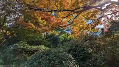 実光院(京都府)