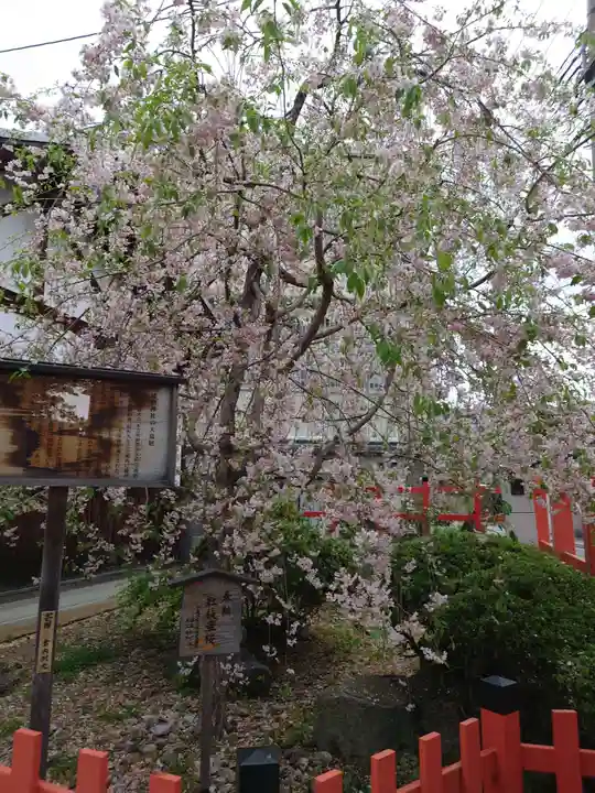 建勲神社の自然