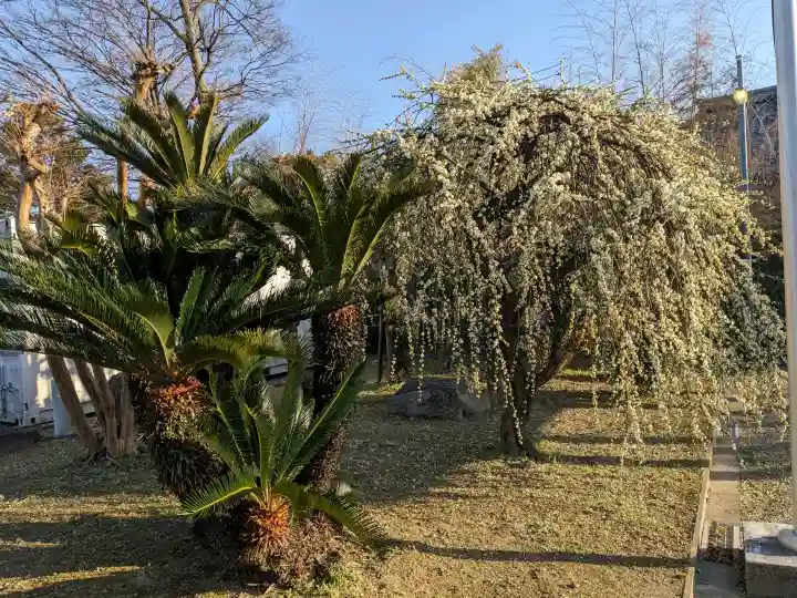 日置八幡宮の{uncategorized: "未分類", other: "その他", undefined: "問題あり", building: "その他建物", grave: "お墓", sacred_gate: "鳥居", guardian: "狛犬", statue: "像", buddha: "仏像", history: "歴史", nature: "自然", garden: "庭園", animal: "動物", pagoda: "塔", temizu: "手水舎", mountain_gate: "山門・神門", sanctuary: "本殿・本堂", subordinate: "末社・摂社", art: "芸術", scenery: "景色", jizo: "地蔵", ema: "絵馬", goshuin: "御朱印", omikuji: "おみくじ", items: "授与品その他", amulet: "お守り", goshuincho: "御朱印帳", eats: "食事", festival: "お祭り", votive_dance: "神楽", shichigosan: "七五三参", wedding: "結婚式", experience: "体験その他", initially: "初詣", around: "周辺", anti_infection: "感染症対策"}