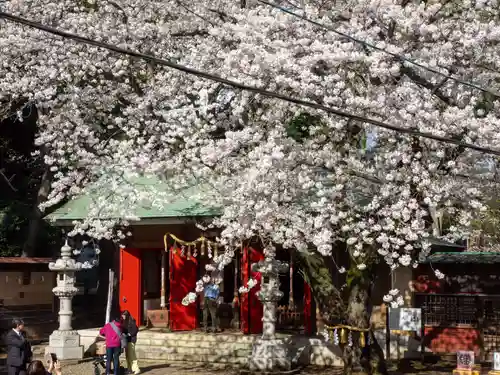 前原御嶽神社(千葉県)