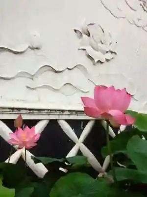 長善寺(東京都)