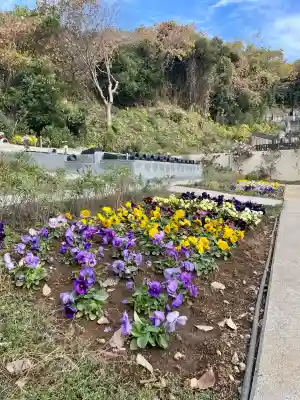 専念寺(神奈川県)