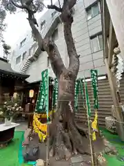 少彦名神社(大阪府)