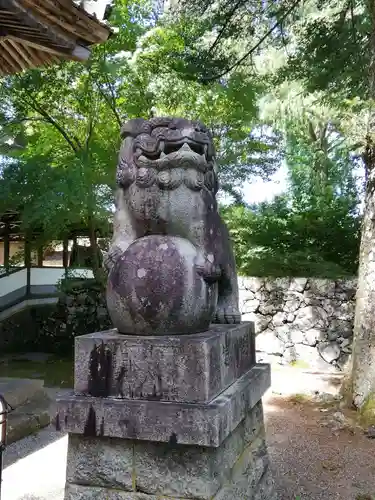 隆国寺の狛犬