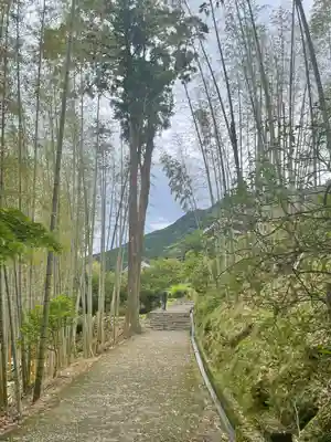 熊野那智大社(和歌山県)