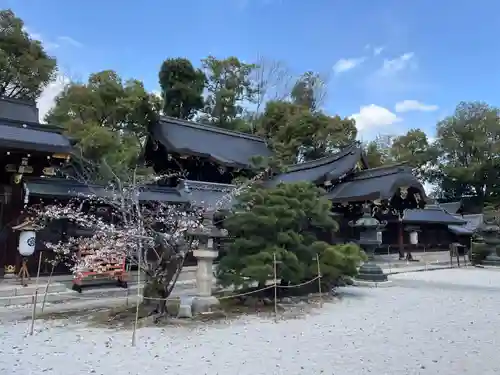 今宮神社の自然
