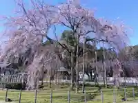 足羽神社(福井県)