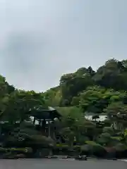 高乗寺(東京都)