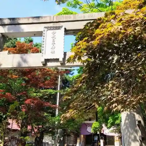 彌彦神社　(伊夜日子神社)の鳥居