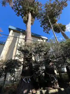 八雲神社(栃木県)