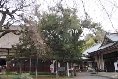 茂林寺のその他建物