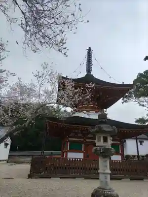 金剛寺のその他建物
