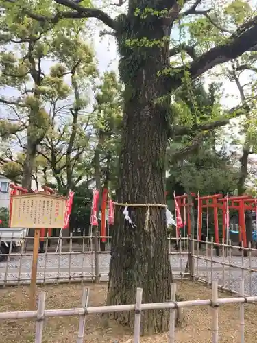 大垣八幡神社の建物その他