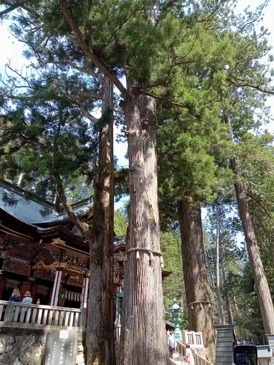 三峯神社の自然