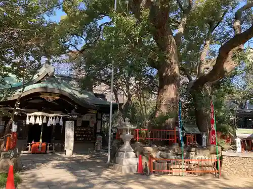 松原神社の本殿・本堂