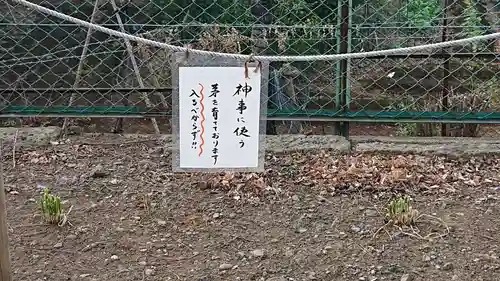 諏訪神社のその他建物